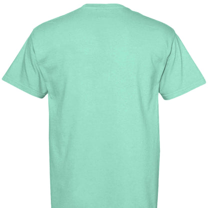 Comfort Colors T-Shirt - Little Girl Feeding Ducks