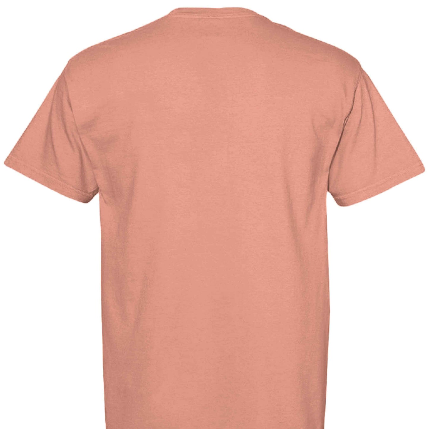 Comfort Colors T-Shirt - Energy Loading Sloth Tee