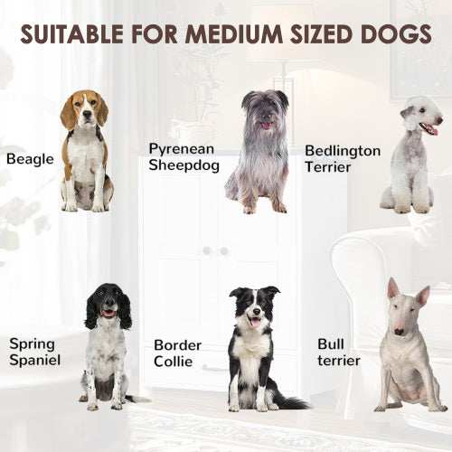 Premium Dog Feeding Station with Hidden Bowl Storage - Adjustable Food Locker for Medium Dogs - Purrfect Pet Haven