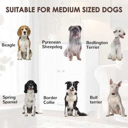 Premium Dog Feeding Station with Hidden Bowl Storage - Adjustable Food Locker for Medium Dogs - Purrfect Pet Haven