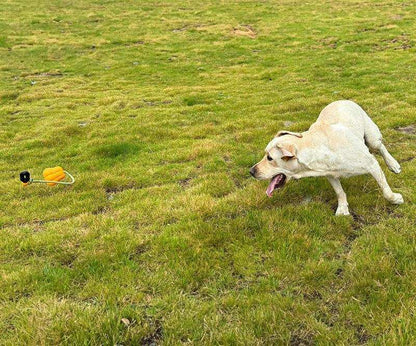 Indestructible Dog Rope Toy - Heavy Duty Fetch & Tug Toy for Aggressive Chewers - Purrfect Pet Haven