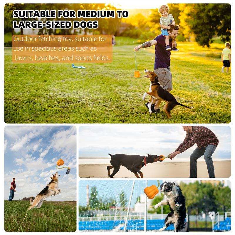 Indestructible Dog Rope Toy - Heavy Duty Fetch & Tug Toy for Aggressive Chewers - Purrfect Pet Haven