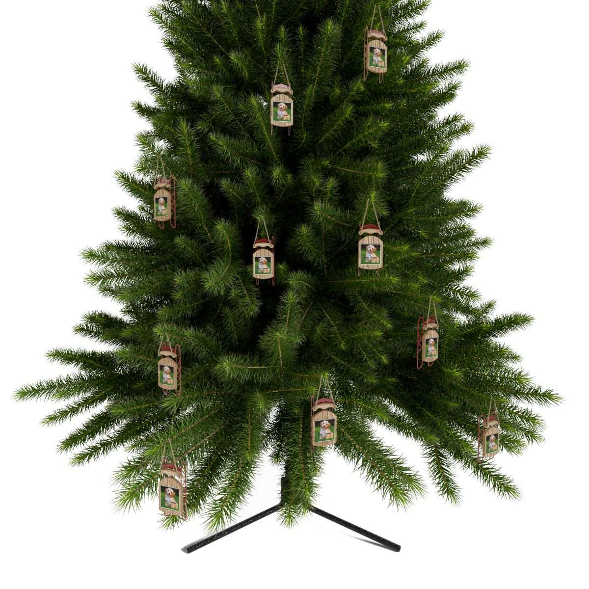 Personalized Pet Sled Ornaments - Custom Holiday Decor - Purrfect Pet Haven