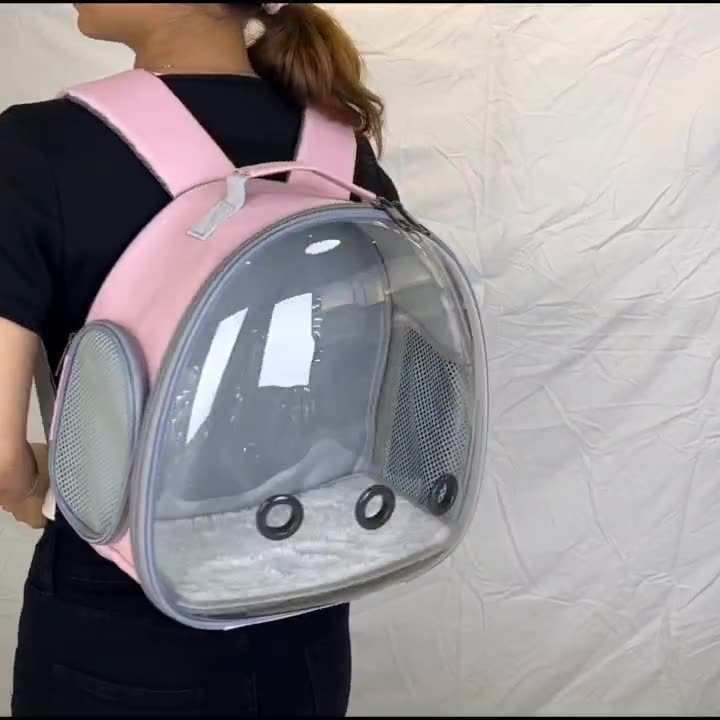 Small Animal Transparent Pet Carrier Backpack - Purrfect Pet Haven