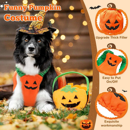 Fun Halloween Pumpkin Pet Dog Costume - Purrfect Pet Haven