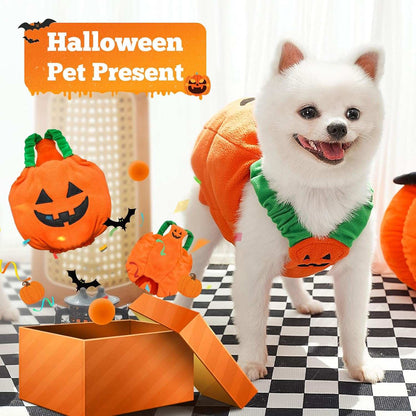 Fun Halloween Pumpkin Pet Dog Costume - Purrfect Pet Haven