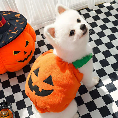 Fun Halloween Pumpkin Pet Dog Costume - Purrfect Pet Haven