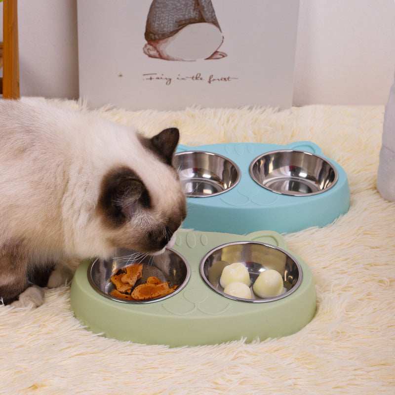 Cat eating from green Pet Feeder Stainless Steel Bowls with an empty blue set on a soft carpet
