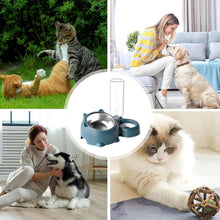 Pet Water Bottle and Bowl for Dogs & Cats - Purrfect Pet Haven