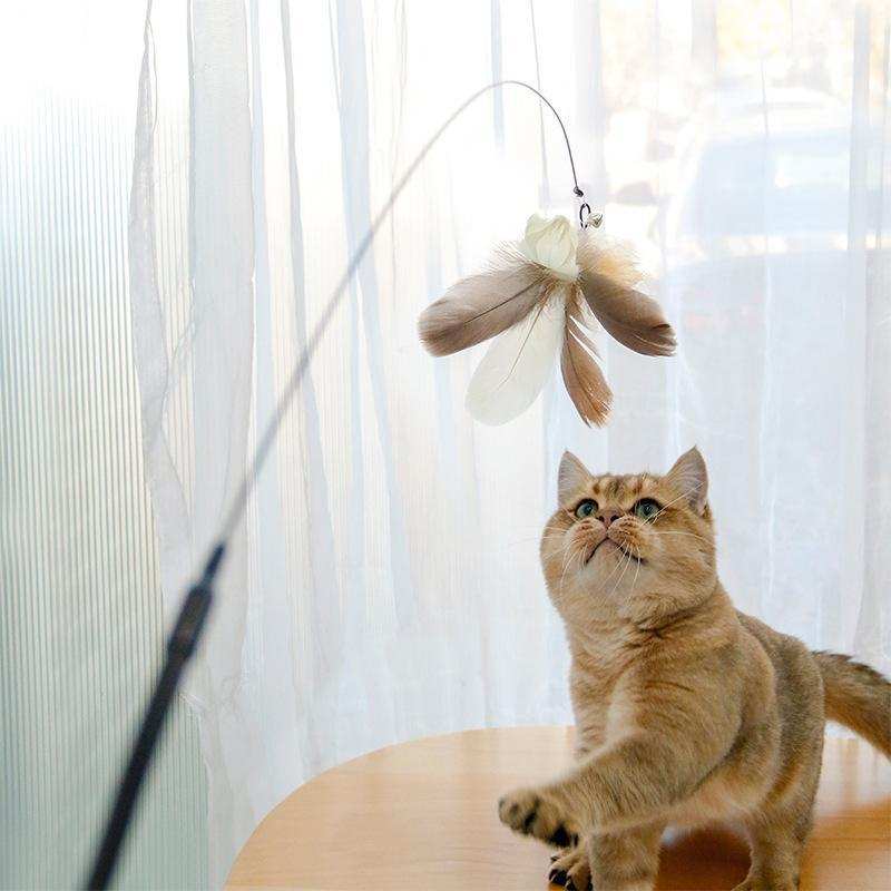 Retractable Interactive Laser and Cat Feather Wand Toy - Purrfect Pet Haven