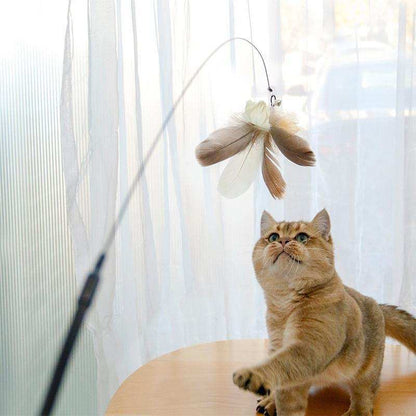 Retractable Interactive Laser and Cat Feather Wand Toy - Purrfect Pet Haven