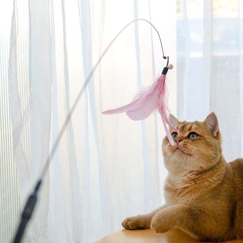Retractable Interactive Laser and Cat Feather Wand Toy - Purrfect Pet Haven
