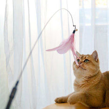 Retractable Interactive Laser and Cat Feather Wand Toy - Purrfect Pet Haven
