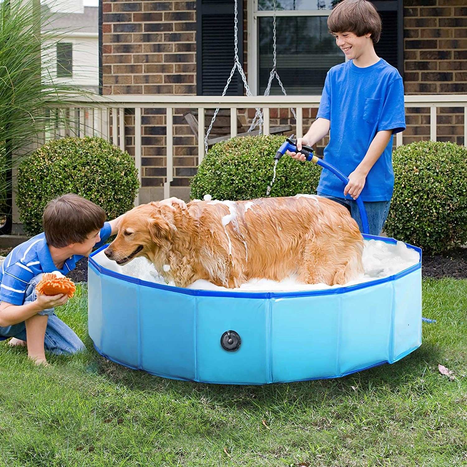 Portable Collapsible Pet Outdoor Swimming Pool - Purrfect Pet Haven