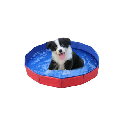 Portable Collapsible Pet Outdoor Swimming Pool - Purrfect Pet Haven