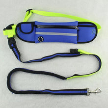 Pet leash belt bag
