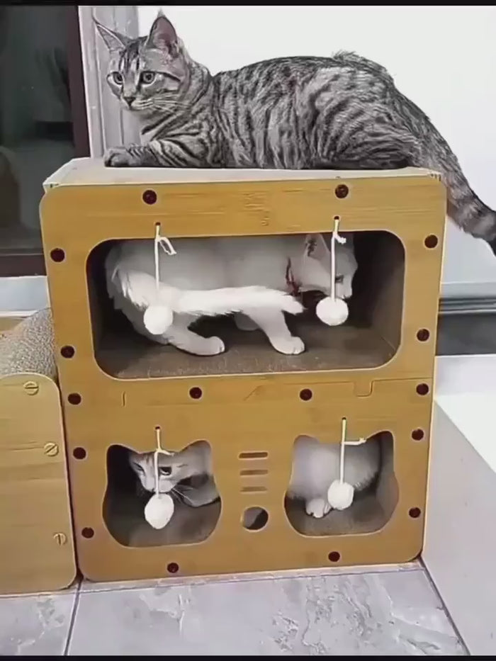 Load video: 123