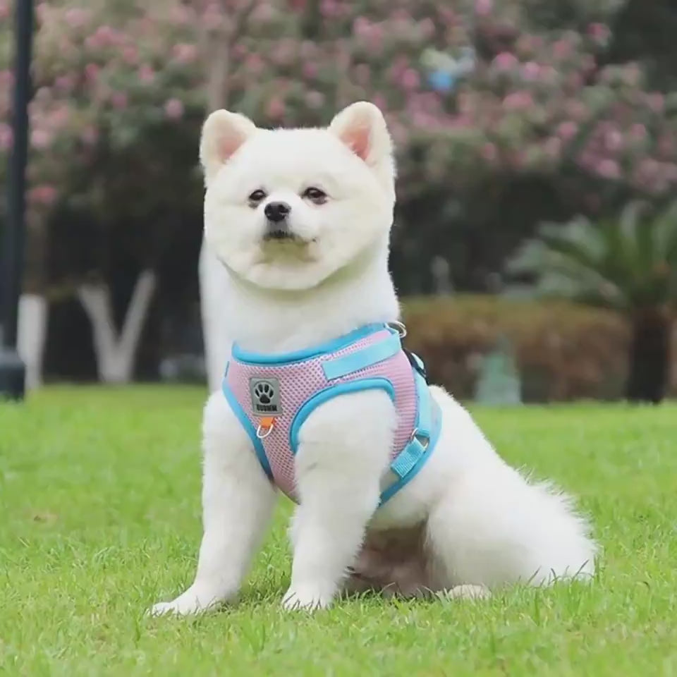 Load video: video