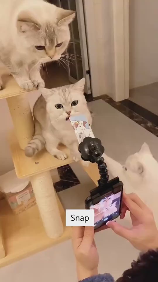 Load video: 1
