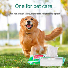Gentle & Safe Cleaning Care Pet Wipes - Purrfect Pet Haven