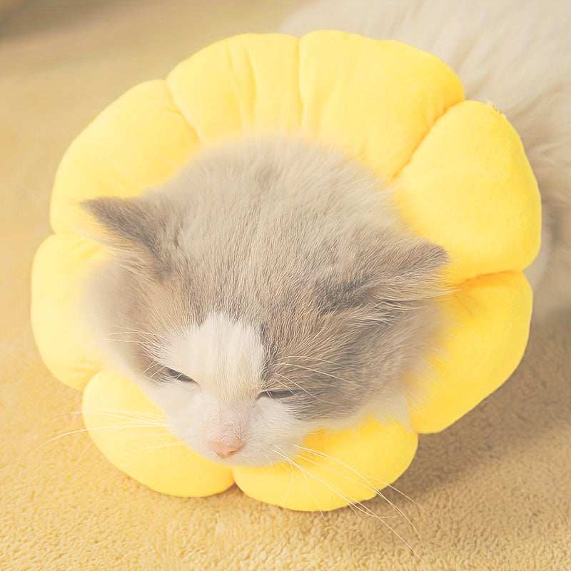 Cute kitten wearing a yellow flower-shaped Recovery Neck Cone for pet healing and protection