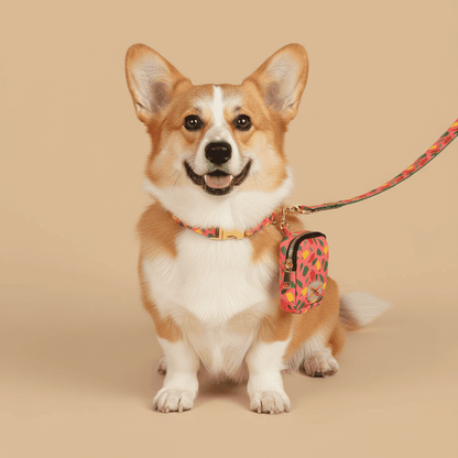 Dog Leash with Poop Bag Holder - Matching Set - Purrfect Pet Haven