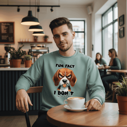 Fun Fact Don't Care Crewneck - Funny Sarcastic Sweatshirt - Purrfect Pet Haven