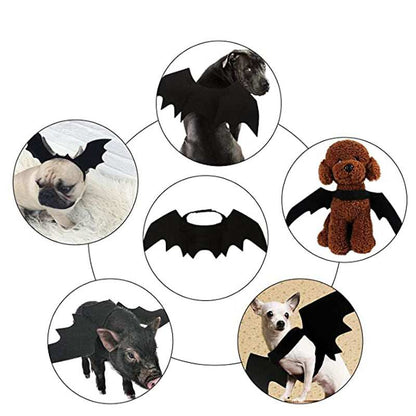 Halloween Bat Wings for Pets - Spooky Costume Accessory for Cats & Dogs - Purrfect Pet Haven