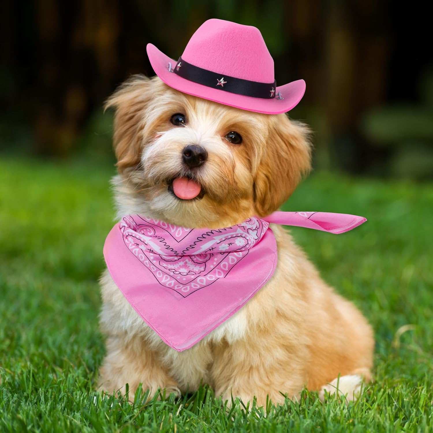 Halloween Pet Dog or Cat Pink Western Bandana and Hat Set - Purrfect Pet Haven